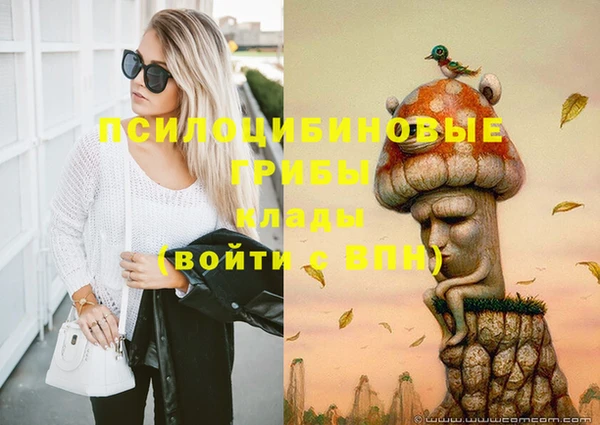 бошки Заволжье